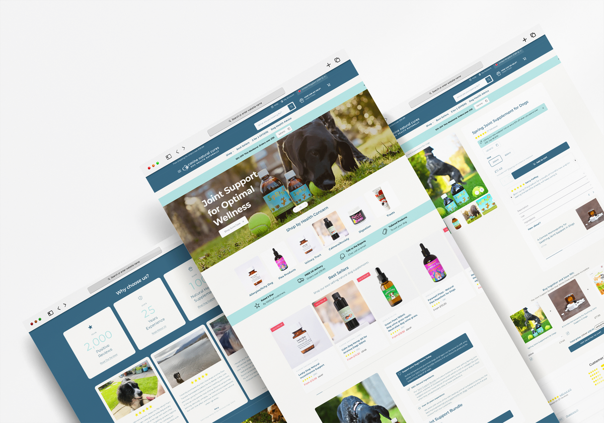 Shopify web designer portfolio