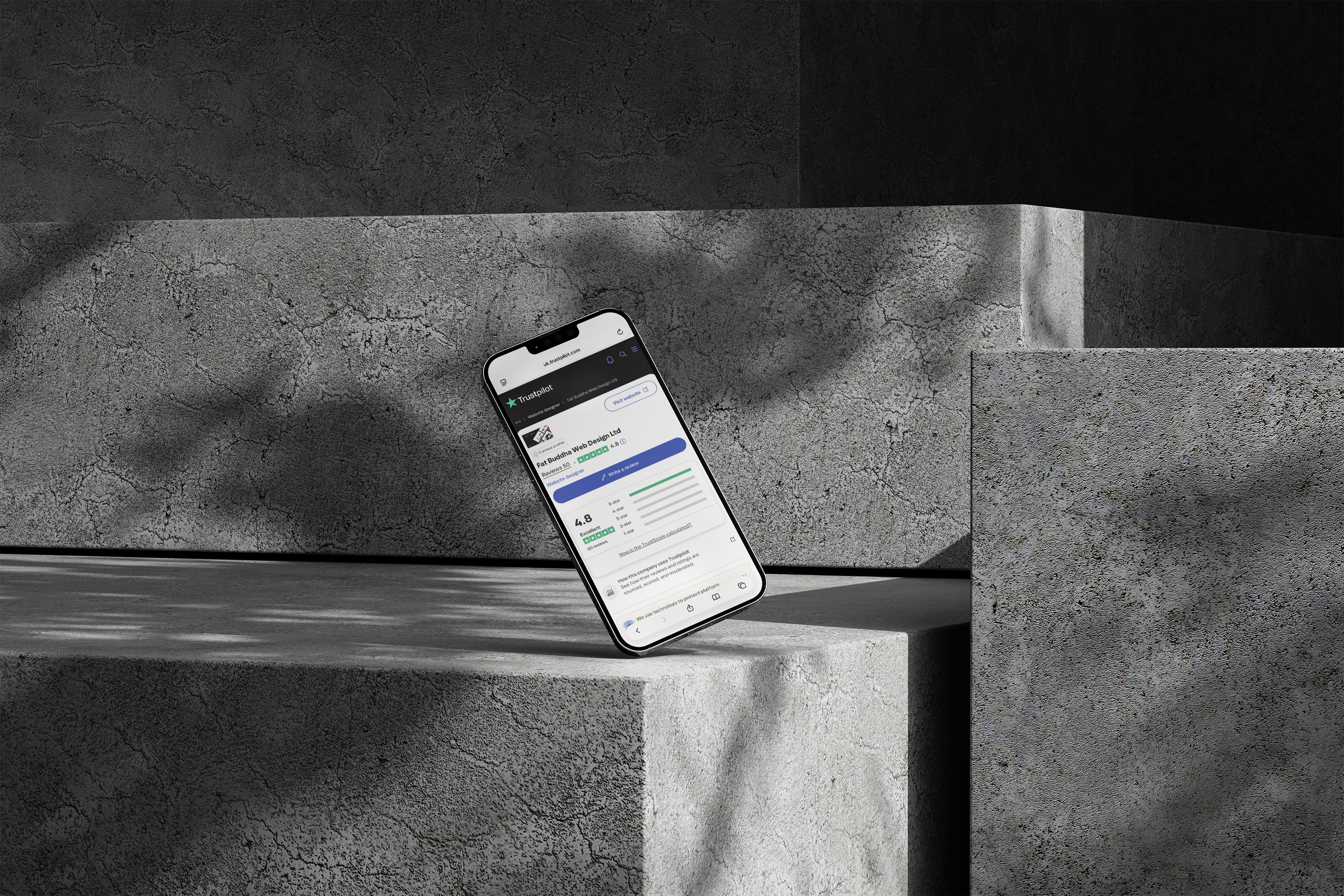 fat buddha web design trustpilot reviews