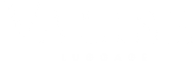 Valise Luggage