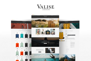 Shopify Web Design Project for Valise Luggage