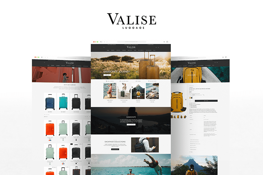 Valise Luggage