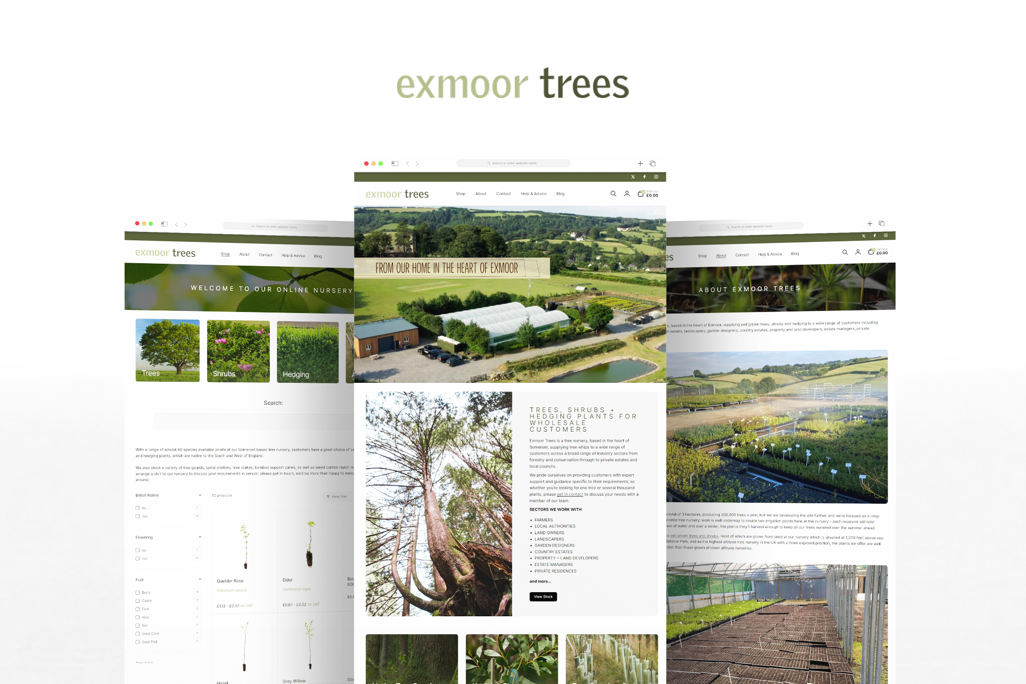 Exmoor Trees - Shopify Website by Fat Buddha Web Design